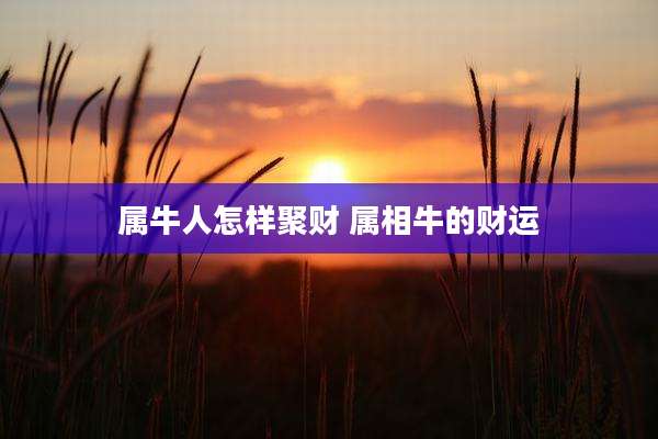 属牛人怎样聚财 属相牛的财运