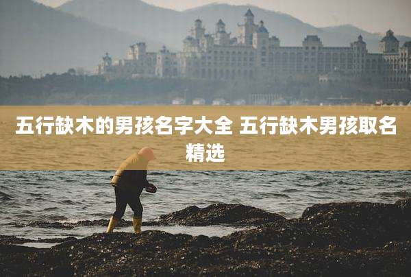 五行缺木的男孩名字大全 五行缺木男孩取名精选