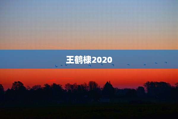 王鹤棣2020