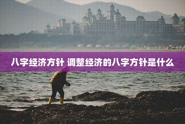 八字经济方针 调整经济的八字方针是什么