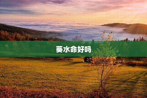 葵水命好吗