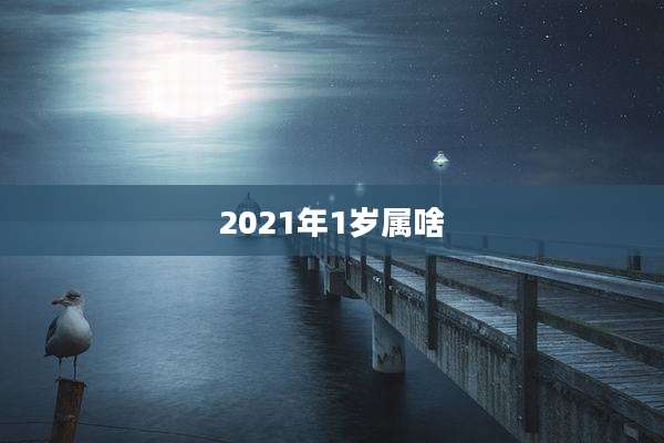 2021年1岁属啥