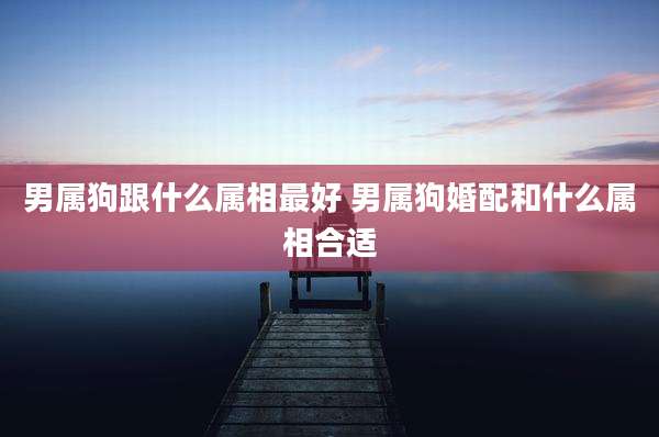 男属狗跟什么属相最好 男属狗婚配和什么属相合适