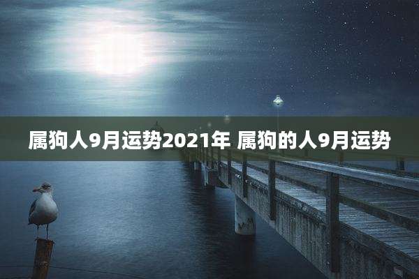 属狗人9月运势2021年 属狗的人9月运势