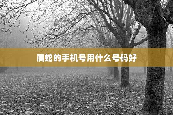 属蛇的手机号用什么号码好