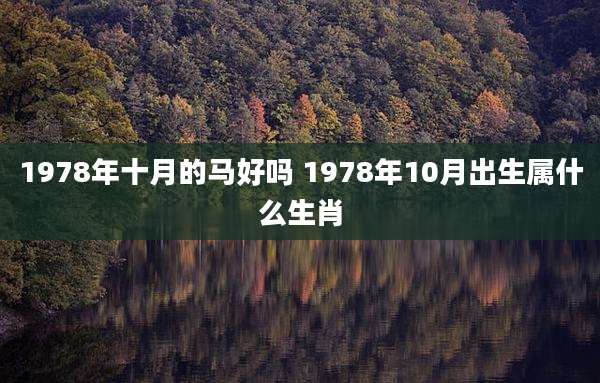 1978年十月的马好吗 1978年10月出生属什么生肖