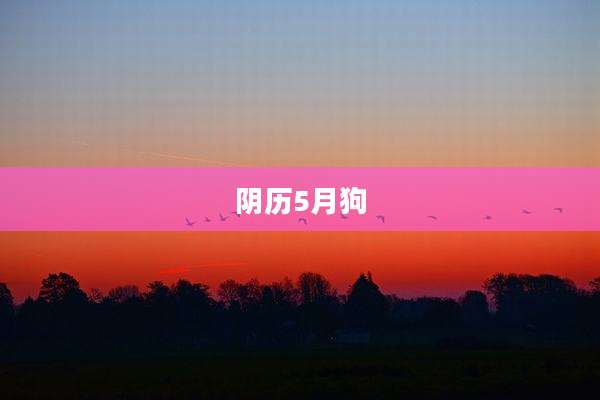 阴历5月狗