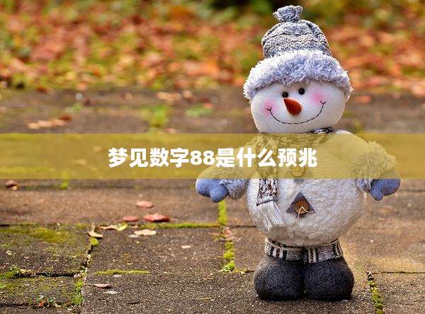 梦见数字88是什么预兆