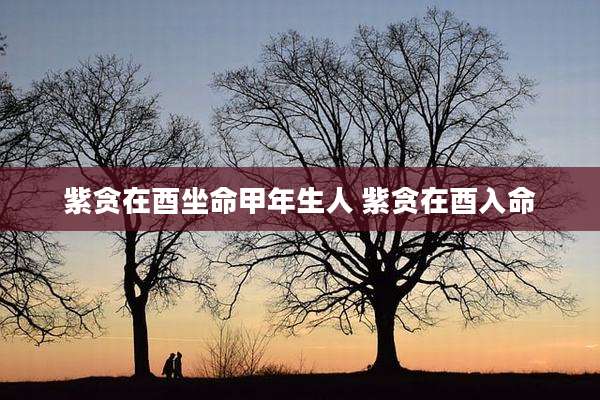 紫贪在酉坐命甲年生人 紫贪在酉入命