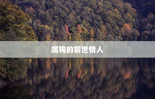 属狗的前世情人