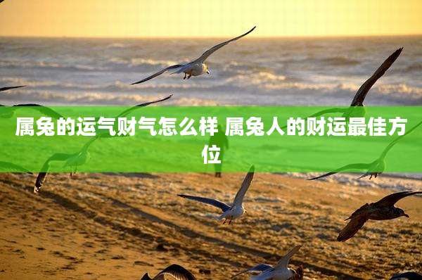 属兔的运气财气怎么样 属兔人的财运最佳方位