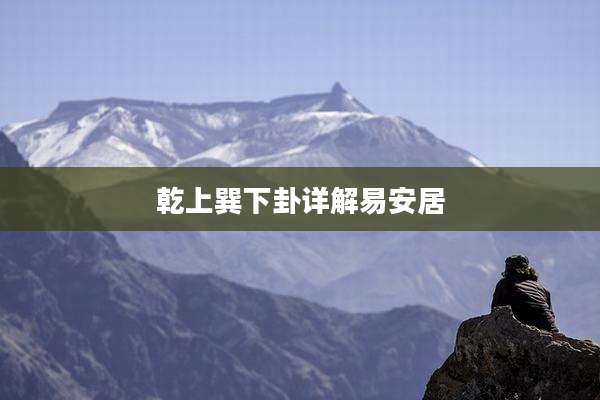 乾上巽下卦详解易安居