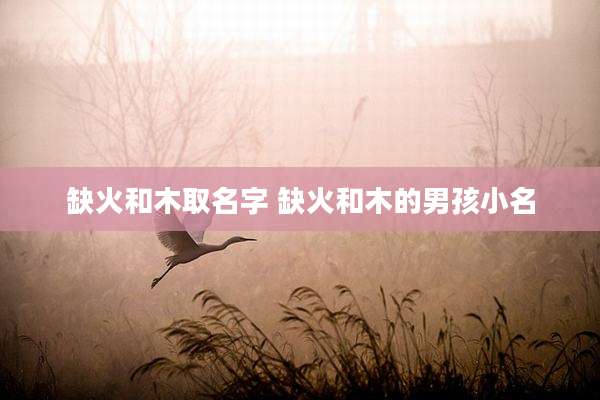 缺火和木取名字 缺火和木的男孩小名