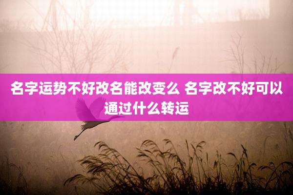名字运势不好改名能改变么 名字改不好可以通过什么转运
