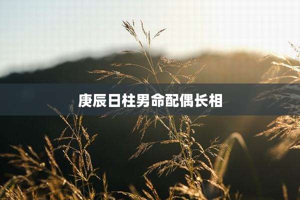 庚辰日柱男命配偶长相