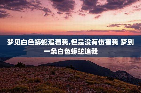 梦见白色蟒蛇追着我,但是没有伤害我 梦到一条白色蟒蛇追我