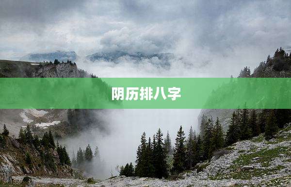 阴历排八字