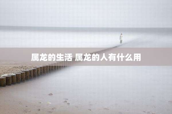属龙的生活 属龙的人有什么用