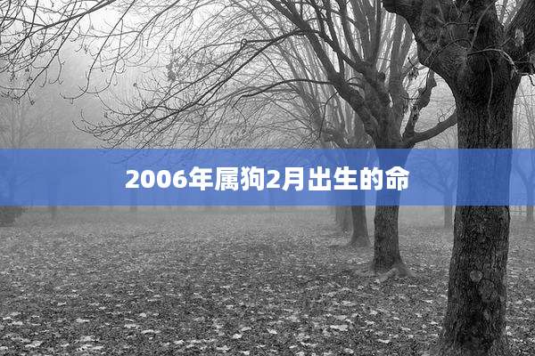 2006年属狗2月出生的命
