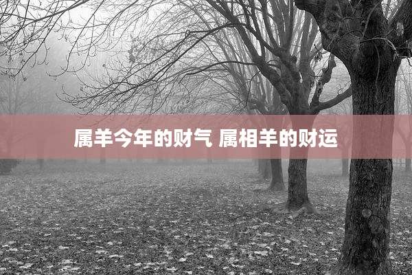属羊今年的财气 属相羊的财运