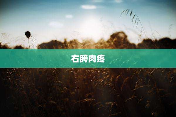 右胯肉疼
