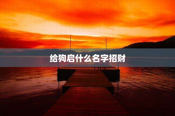 给狗启什么名字招财