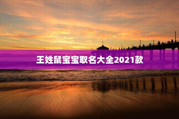 王姓鼠宝宝取名大全2021款