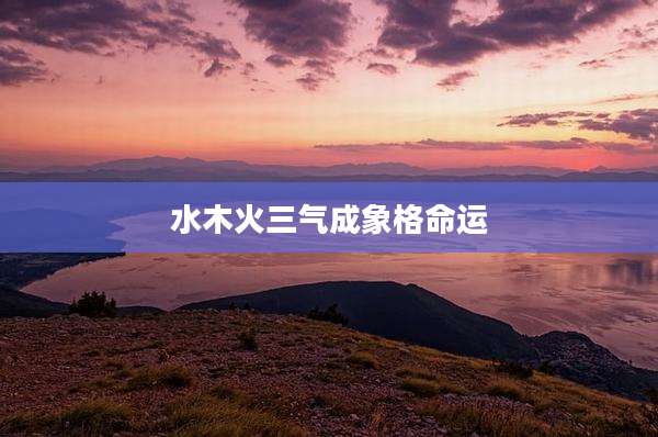 水木火三气成象格命运