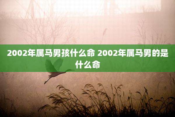 2002年属马男孩什么命 2002年属马男的是什么命