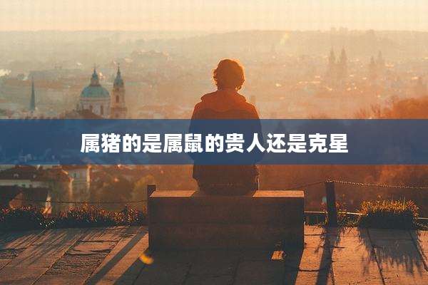 属猪的是属鼠的贵人还是克星