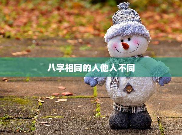 八字相同的人他人不同