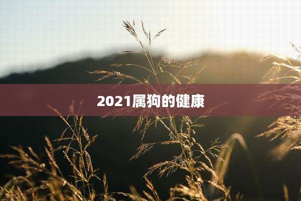 2021属狗的健康