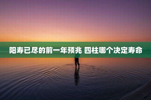 阳寿已尽的前一年预兆 四柱哪个决定寿命