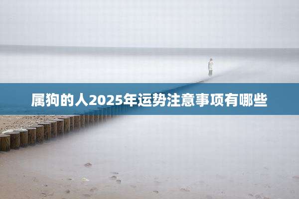 属狗的人2025年运势注意事项有哪些