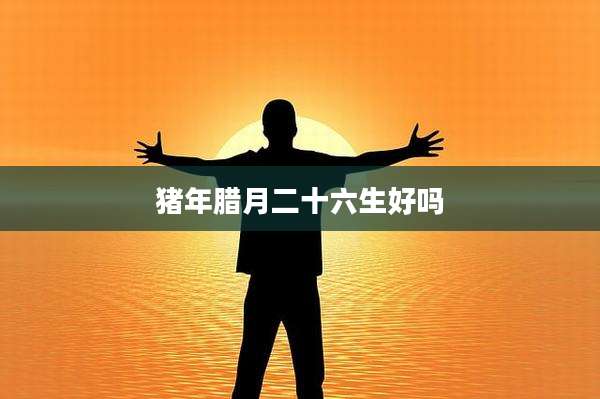 猪年腊月二十六生好吗