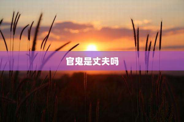 官鬼是丈夫吗