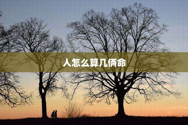 人怎么算几俩命