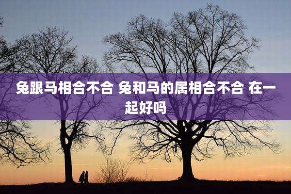 兔跟马相合不合 兔和马的属相合不合 在一起好吗