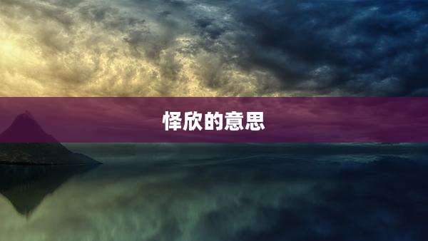 怿欣的意思