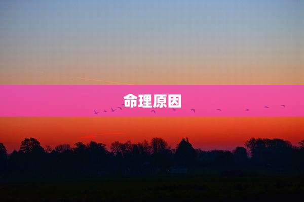 命理原因