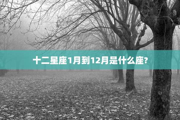 十二星座1月到12月是什么座?