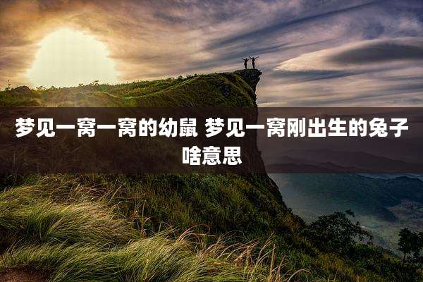 梦见一窝一窝的幼鼠 梦见一窝刚出生的兔子啥意思