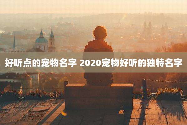 好听点的宠物名字 2020宠物好听的独特名字