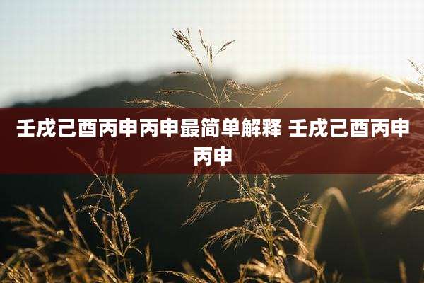壬戌己酉丙申丙申最简单解释 壬戌己酉丙申丙申