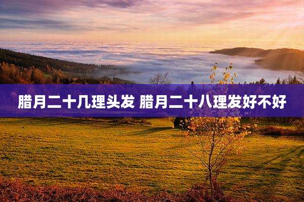 腊月二十几理头发 腊月二十八理发好不好