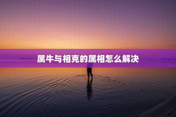 属牛与相克的属相怎么解决