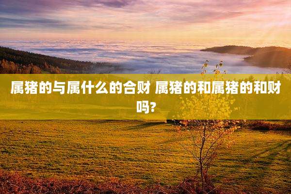 属猪的与属什么的合财 属猪的和属猪的和财吗?