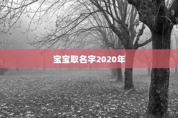 宝宝取名字2020年