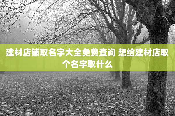 建材店铺取名字大全免费查询 想给建材店取个名字取什么