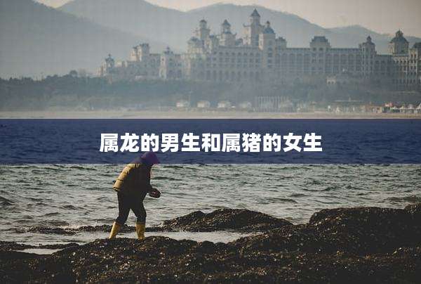 属龙的男生和属猪的女生